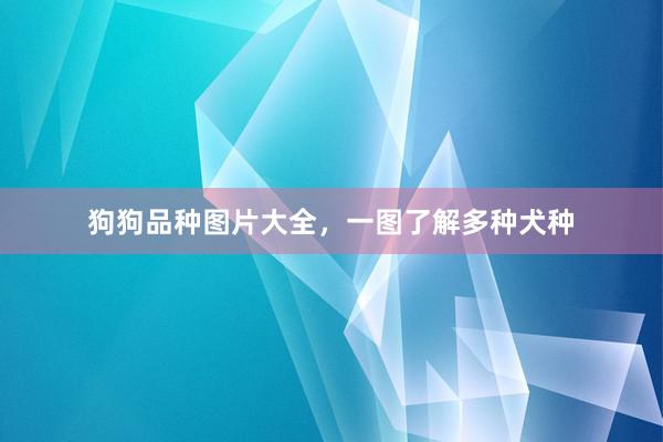 狗狗品种图片大全，一图了解多种犬种
