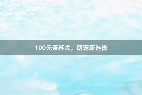 100元茶杯犬，萌宠新选拔