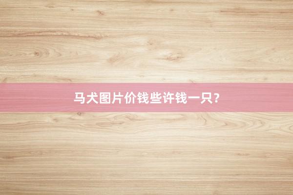 马犬图片价钱些许钱一只?