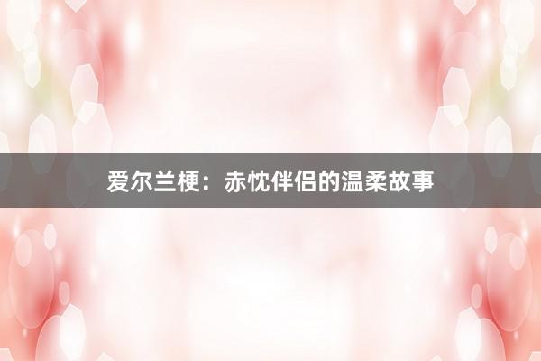 爱尔兰梗：赤忱伴侣的温柔故事