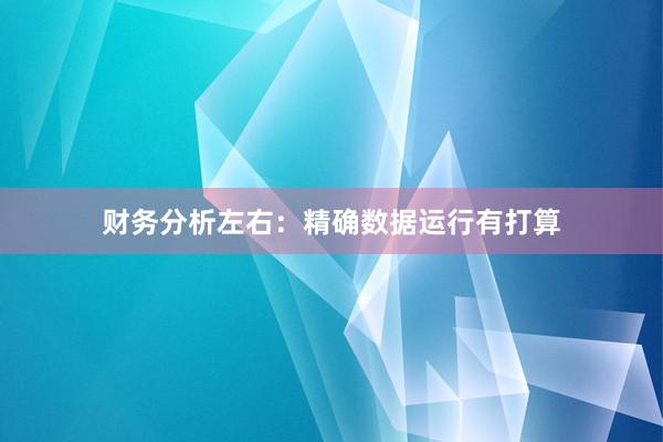 财务分析左右:精确数据运行有打算